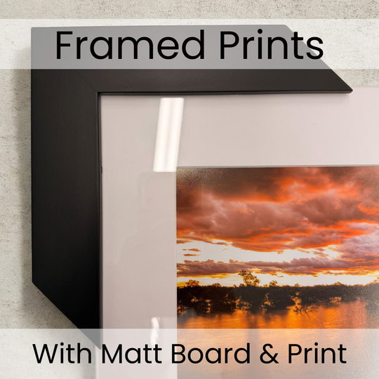 Framed Prints