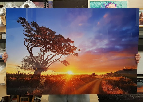 float mount metal prints colourful