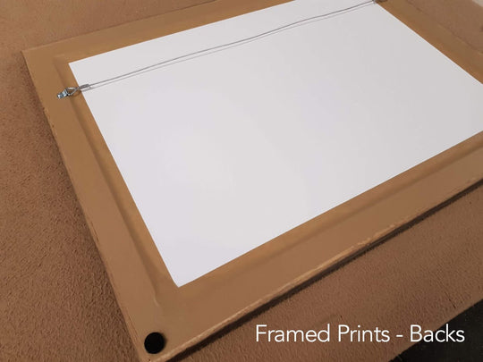 Framed Prints