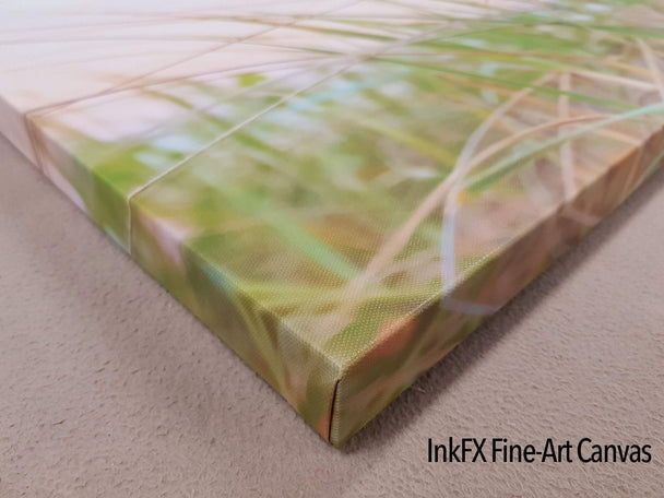 Panoramic Canvas Prints