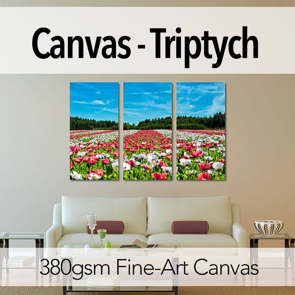 Canvas - Triptych