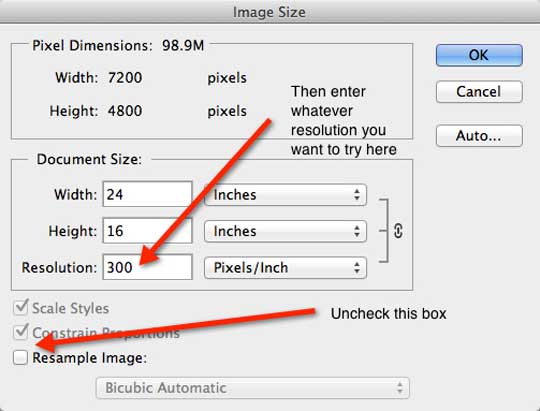 how-to-crop-and-size-your-images-inkfx-printing