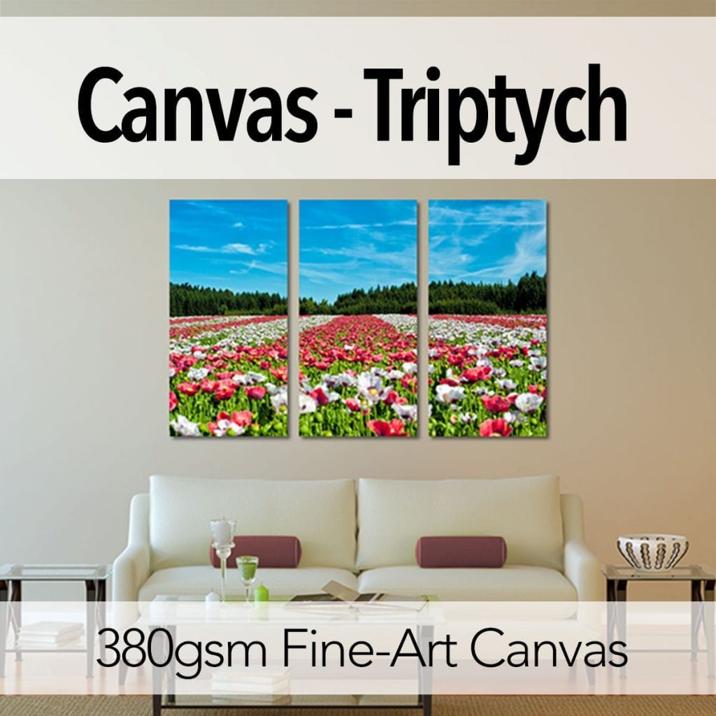 Canvas – Triptych – InkFX Printing